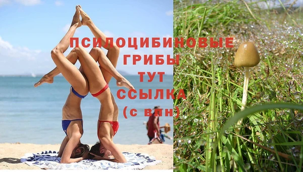 гашик Балахна