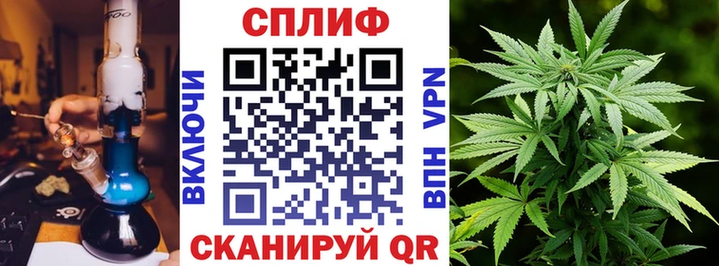 Конопля ГИДРОПОН  Печора 